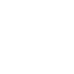Sig Sauer
