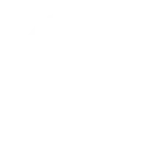 Smith and Wesson Logo