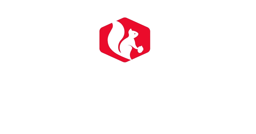 Readywise Logo