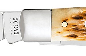 Case 00164 Trapper Medium 3.25"/3.27" Folding Clip Point/Spey Plain Mirror Polished Tru-Sharp SS Blade Peach Seed Jigged Amber Bone Handle