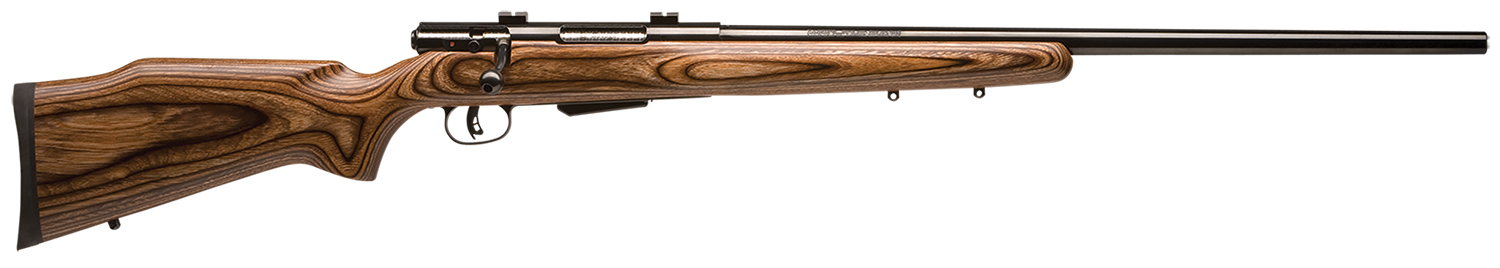 Savage 25 Lightweight Varminter 204 Ruger Rifle, 4+1 24"