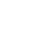 IWI - Israel Weapon Industries logo