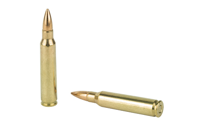 PMC BRNZ 223REM 55GR FMJ 20/1000 - Image 4