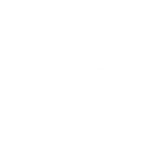 BSA Optics Logo