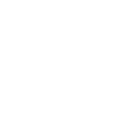 Bushnell Logo