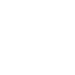 CCI Ammunition Logo