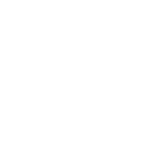 Charter Arms