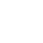 Desantis GunHide