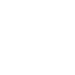 Hi-Point Firearms