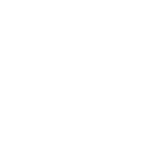 Holosun Optics Logo