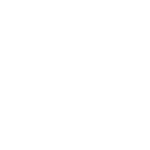 LaserMax Logo