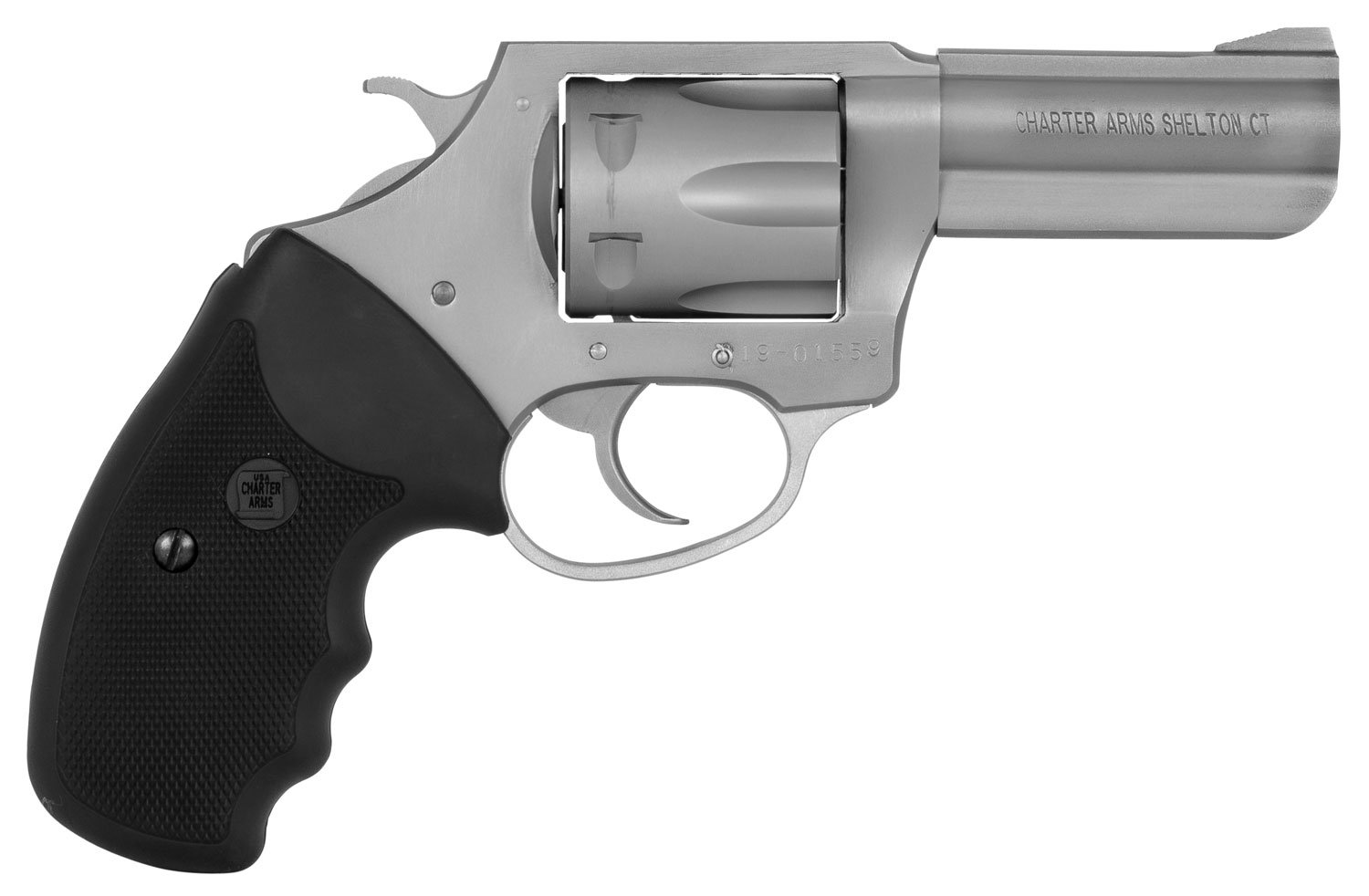 Charter Arms Pitbull Large 380 ACP 6 Shot 3" Stainless Steel Barrel &