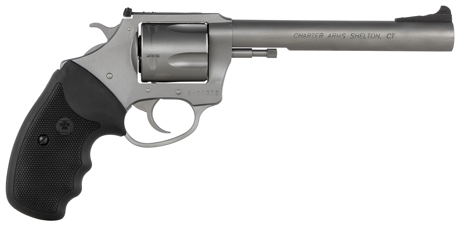 Charter Arms Bulldog Target Large 44 Special