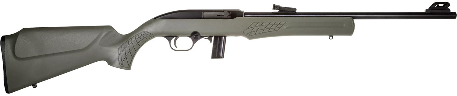 Rossi RS22 Semi-Auto 22 LR Rifle, 10+1 18"