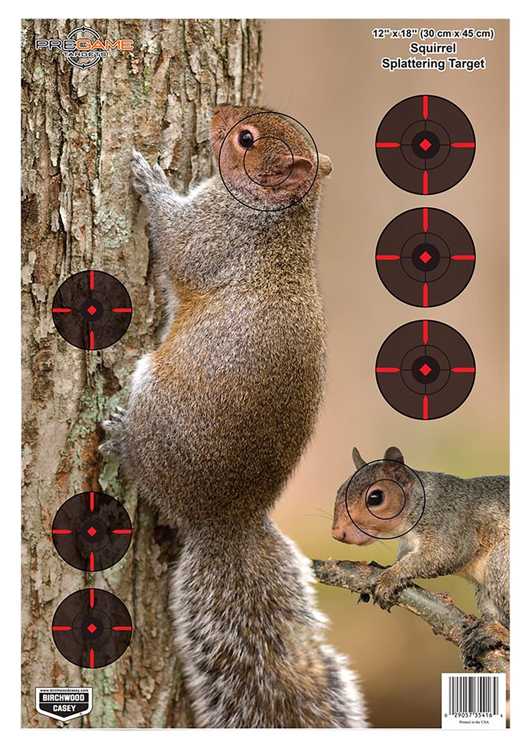 Birchwood Casey Pregame Squirrel Paper Hanging Rifle 12" x 18" Impact