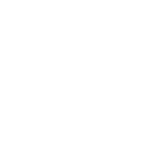 Bravo Concealment logo