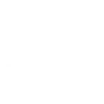 Savage Logo