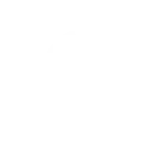 Troy industries Logo
