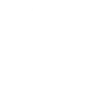 Viridian Weapon Technologies