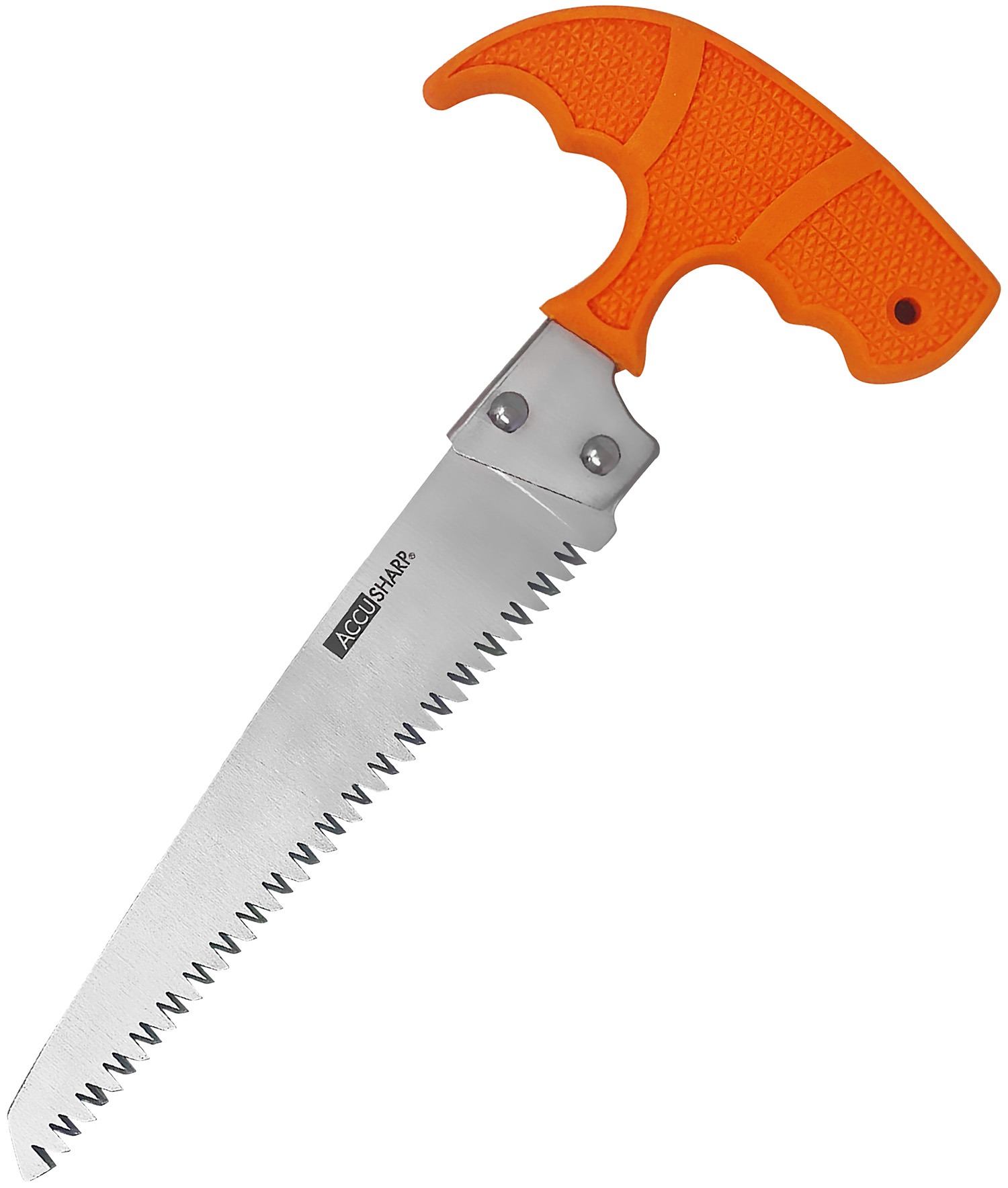AccuSharp 730C Bone Saw Fixed Saw 6" Stainless Steel Blade/ Blaze Orange T-Shaped Handle