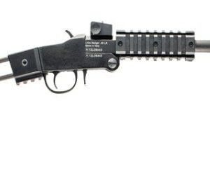 Little Badger 17hmr 16.5" Blk