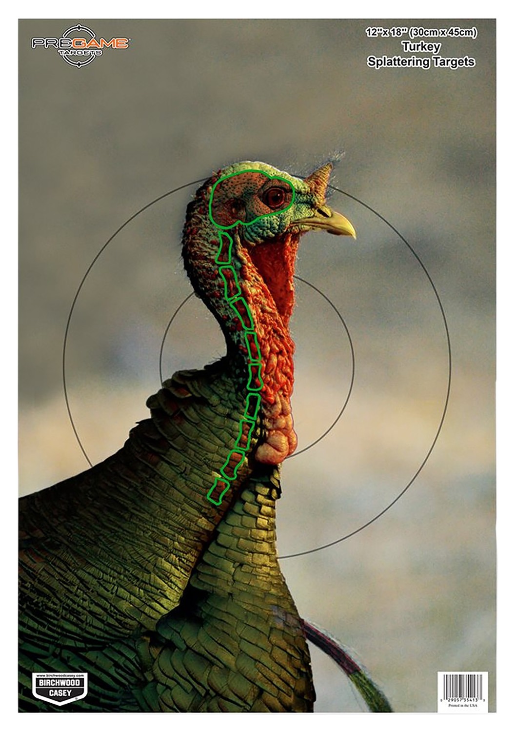 Birchwood Casey 35403 Pregame Turkey Paper Hanging Universal 12" x 18" Multi-Color 8 Per Pkg