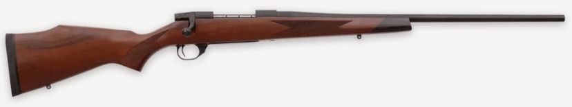 WBY VANGUARD 2 270WIN 24 TB SPORTER